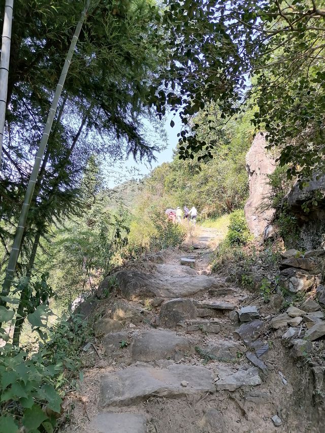 徒步榉根嶺古道丨千年古道丨國慶節避擁遊玩的好地方。