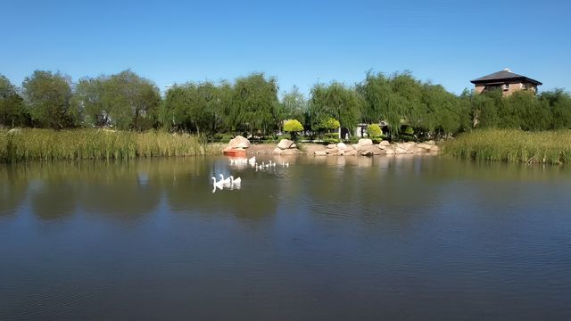 阜新寶地溫泉小鎮養心湖秋之感受。