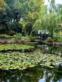 蛻變——和平公園。