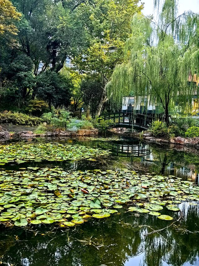 蛻變——和平公園。