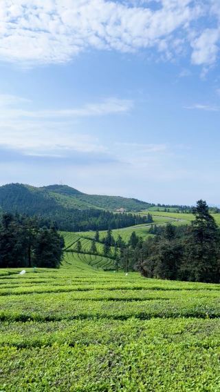 Chongqing Kaizhou District | Fairy Tale Forest Kingdom | A great place for kids and adults. 