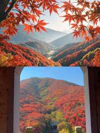 濟南紅葉谷！如詩如畫，秋意盎然的童話世界！。