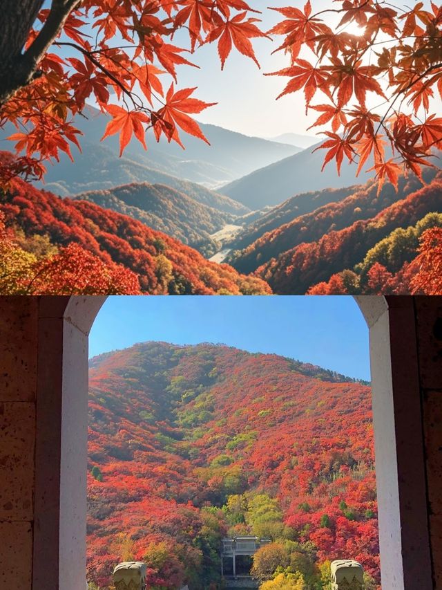 濟南紅葉谷！如詩如畫，秋意盎然的童話世界！。