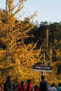 週末好去處：南雄帽子峰。