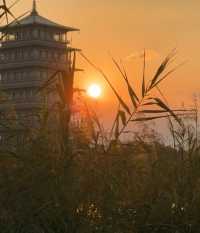 西安免費寶藏公園｜世博園。