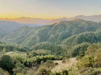 開車兩小時也要看的夕陽，在這座茶山。