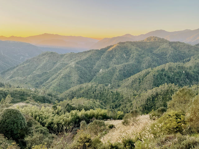 開車兩小時也要看的夕陽，在這座茶山。