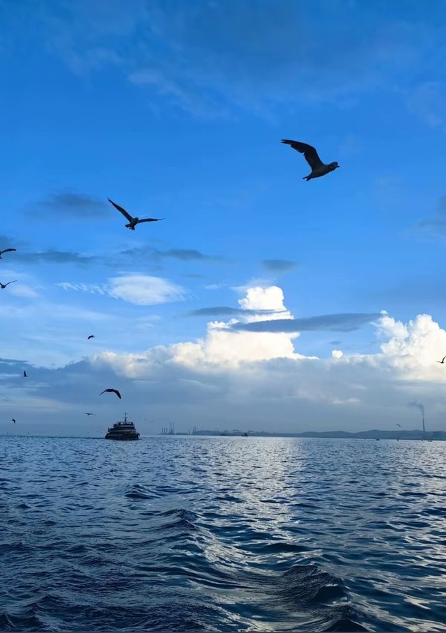 劉公島 | 一部厚重的歷史之書。