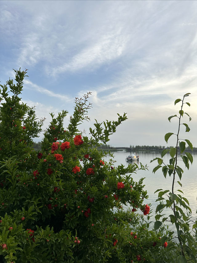 西安昆明池 | 穿越千年的浪漫之湖。