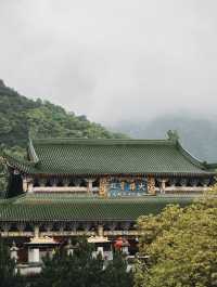 山與山不見面，再見容易，再見難。