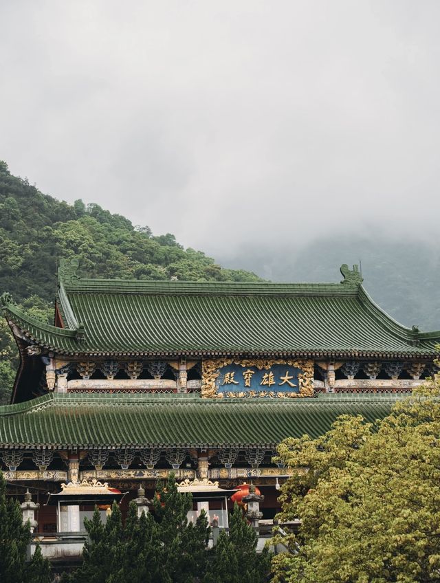 山與山不見面，再見容易，再見難。