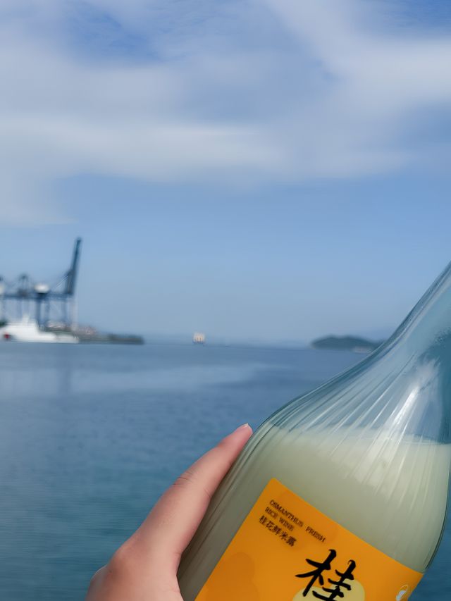 深圳海山地鐵站，見山見海。