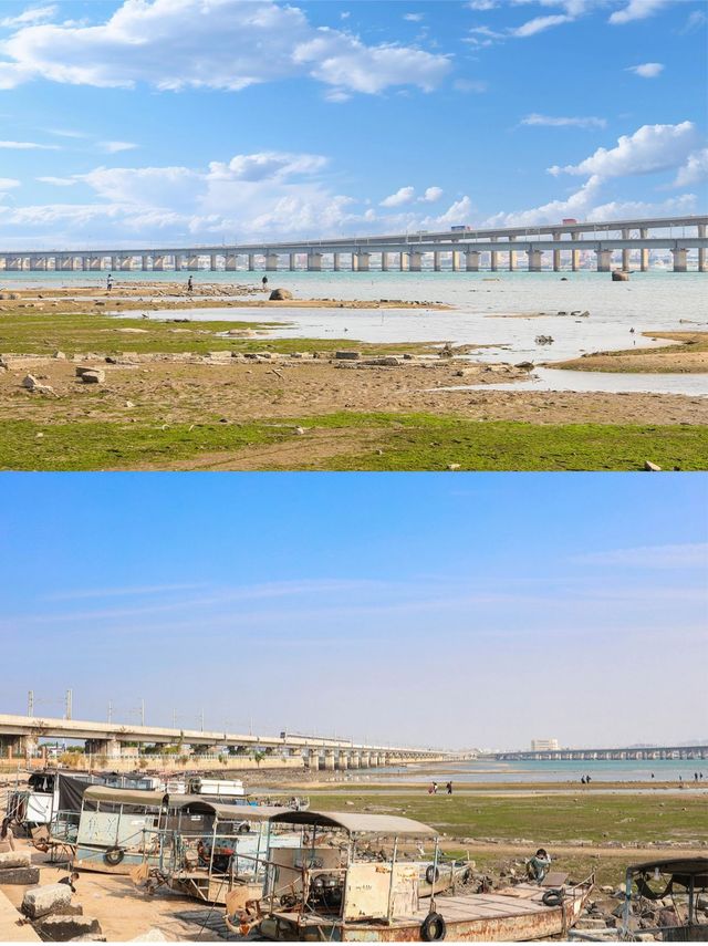 廈門小眾打卡地！元get海邊鐵軌。