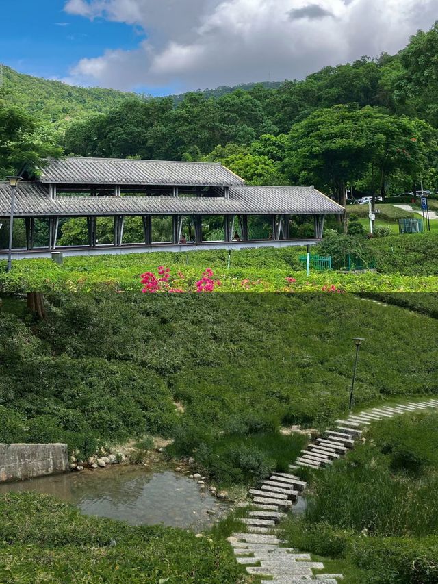 邂逅浪漫花海。