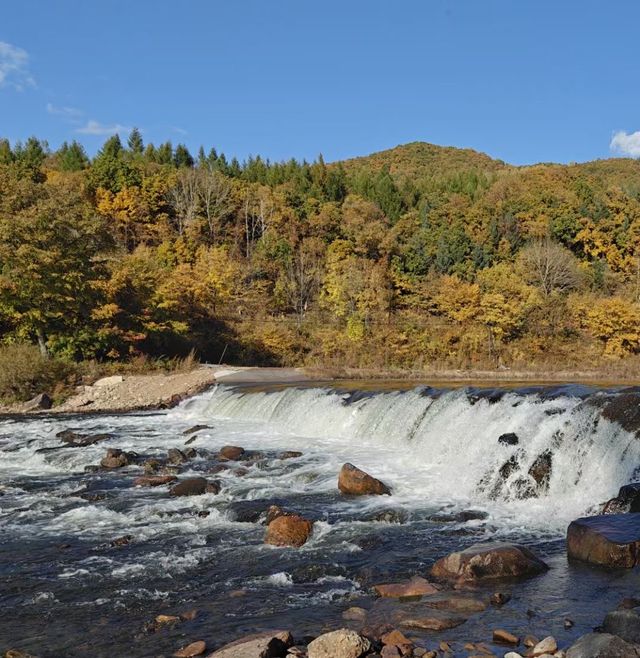 山色正濃伊春行（五）：秋意五花山。