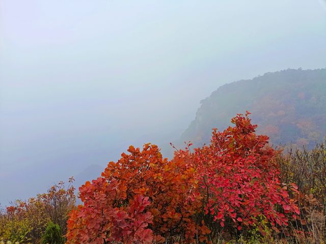 西安‖徒步五道梁觀賞紅葉。