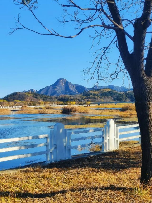 好漂亮啊！密雲太師屯和園公園推薦指數。