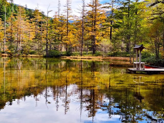 【日本旅行必去】富士山全攻略：從日出到星空，探索日本的靈魂。