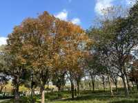 半馬蘇河2號公園