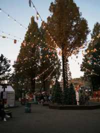 Seoul Grand Park Embraces the Christmas Spirit