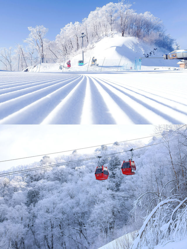 長白山柏悦｜木屋、滑雪、白樺林中的冰雪秘境