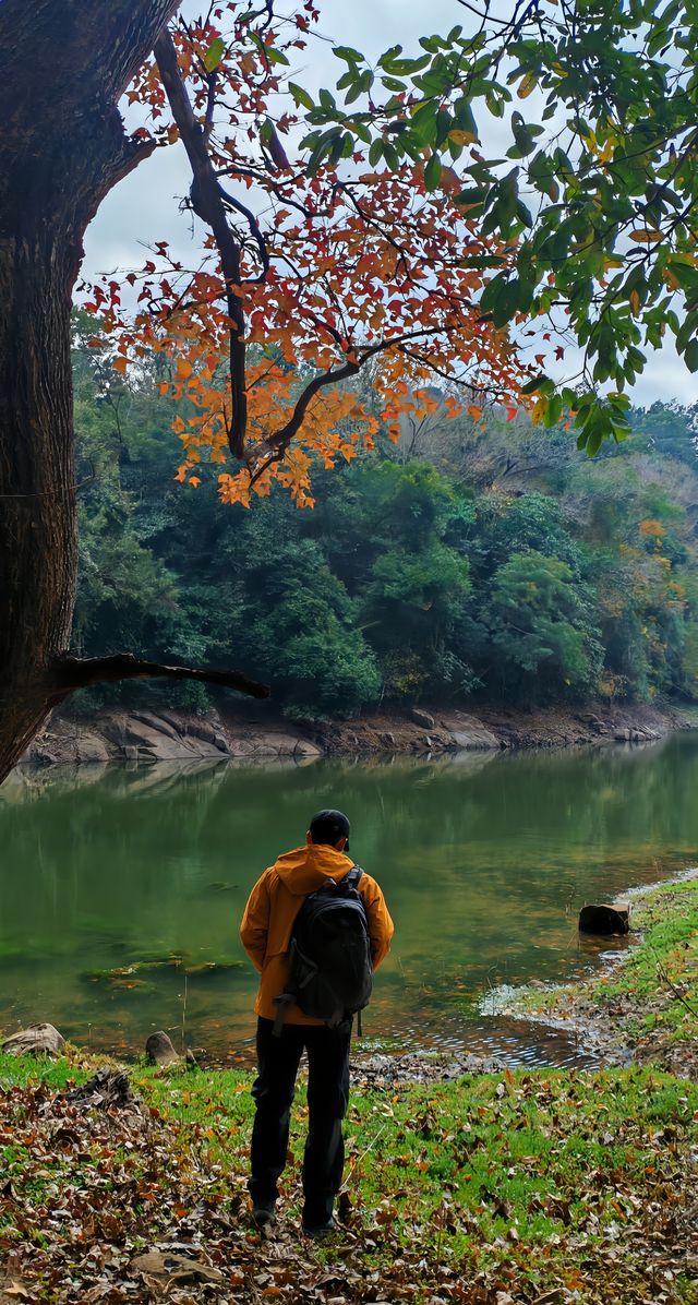 據說這是海南版的九寨溝