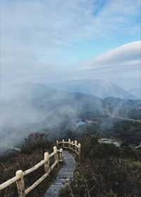 百山計劃–貓兒山