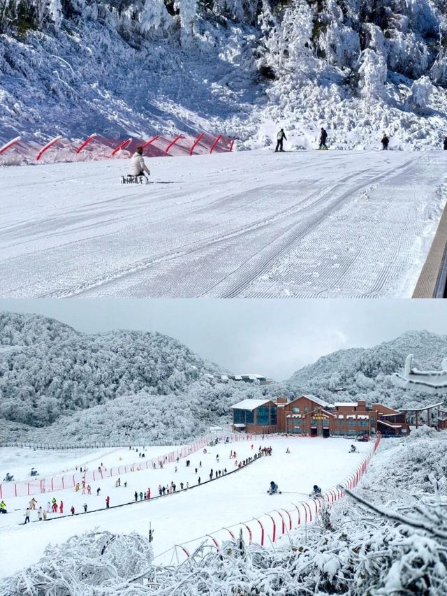 重慶冬日賞雪聖地，美得令人窒息！不用去東北！