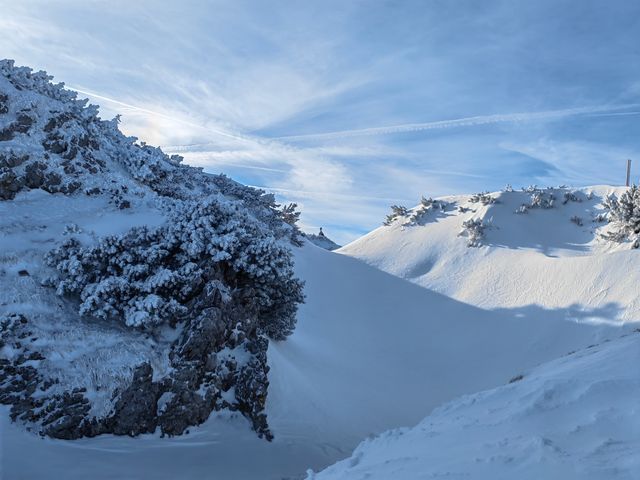 我登上了阿爾卑斯山