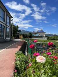 冬日臨滄 5日行程值得你來