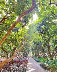 南湖公園，夢幻般的美景等你來