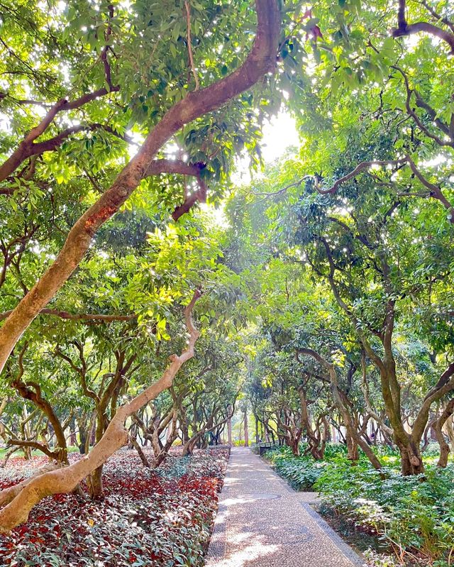 南湖公園，夢幻般的美景等你來