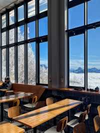 Japan Ski Guide: Ryuoo Ski Park in Shiga Kogen