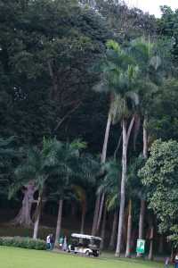Discover the Enchanting Royal Botanical Gardens in Kandy, Sri Lanka
