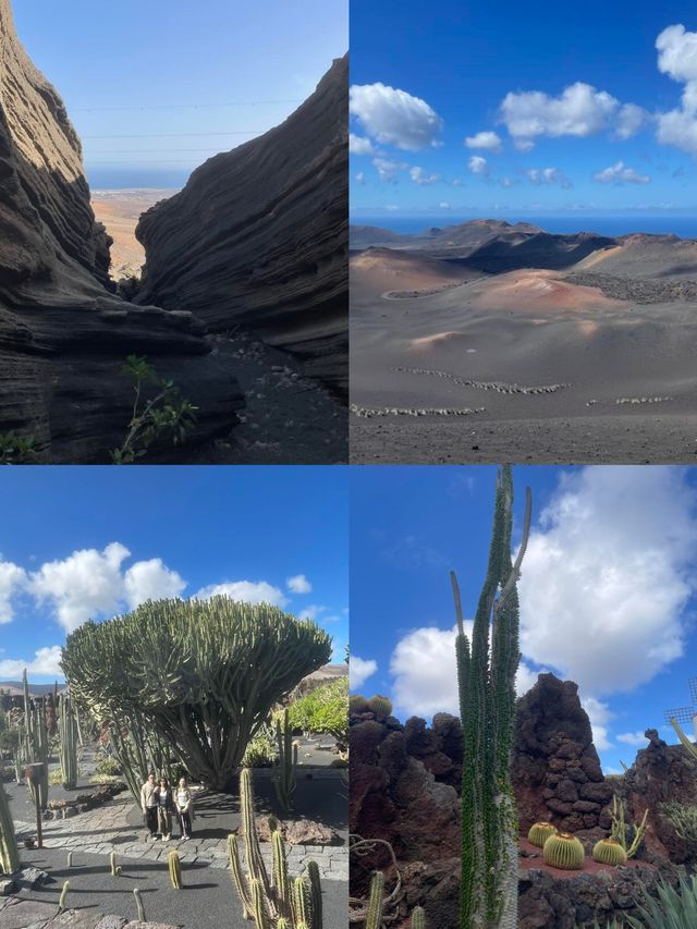 蘭薩羅特島：大西洋上的奇幻之境