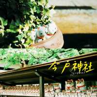 東京今戶神社景點攻略🐱 招财猫發源地