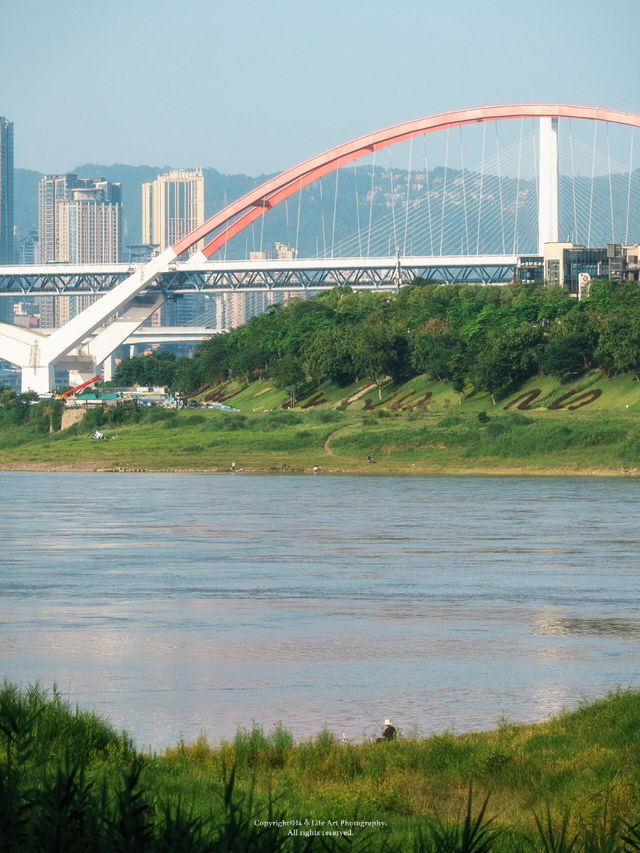 Chongqing’s Riverside Grass Sea is Stunning | Seasonal Limited Views 📷