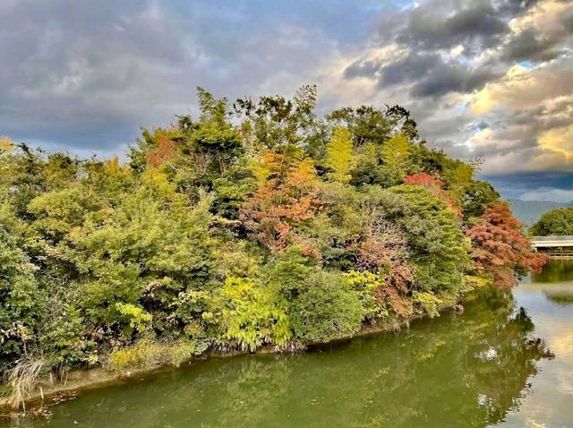 三兼池公園
