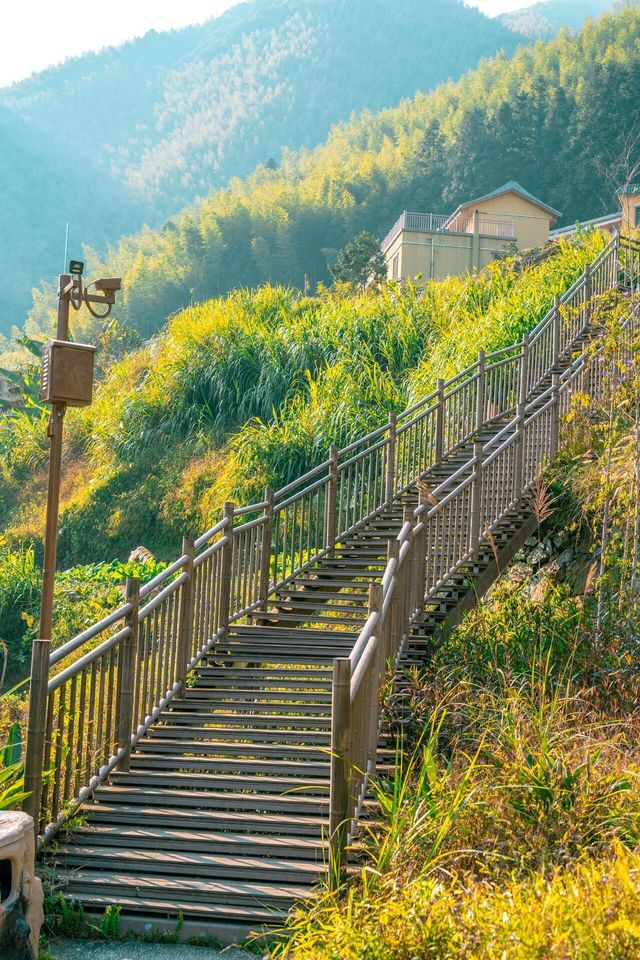 隱藏在廣東最冷門的粵西山城我很怕它會火