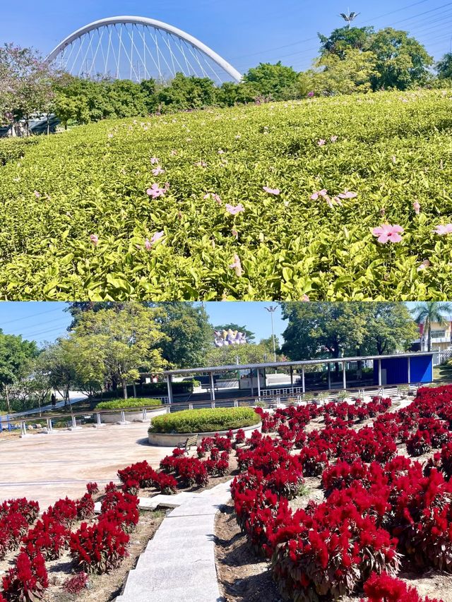玉林園博園，一場視覺與自然的盛宴