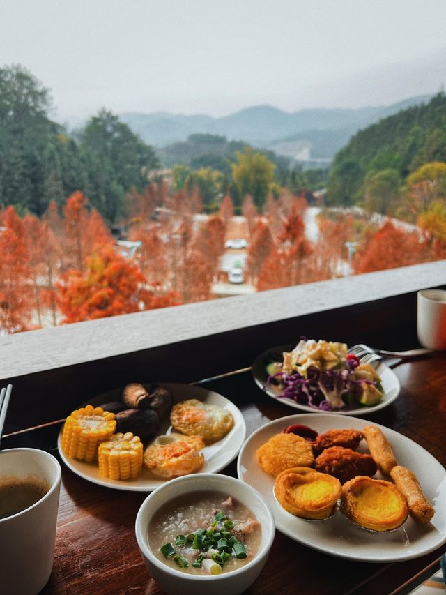 藏在森林裏的度假酒店—馬頭山森林溫泉度假區
