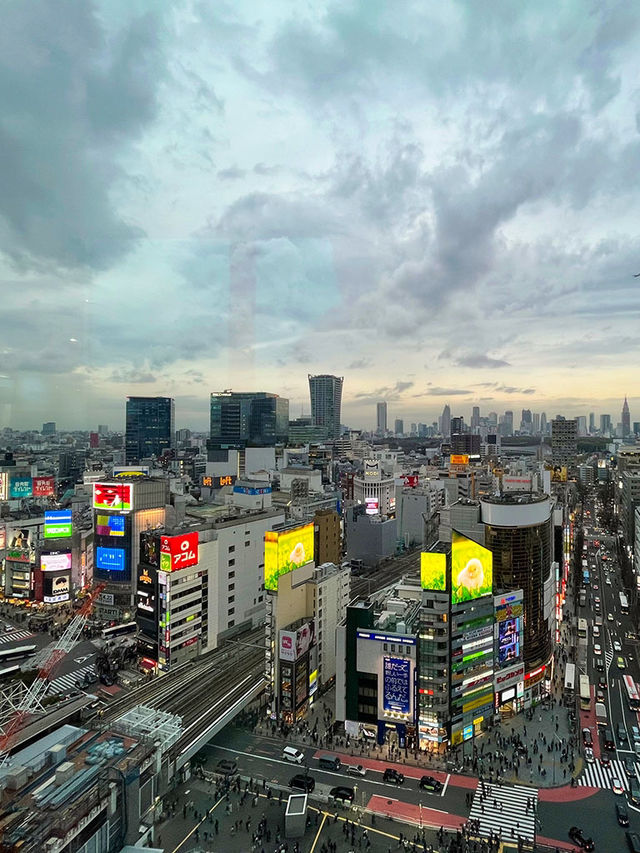 東京行程｜豪德寺與澀谷一日遊