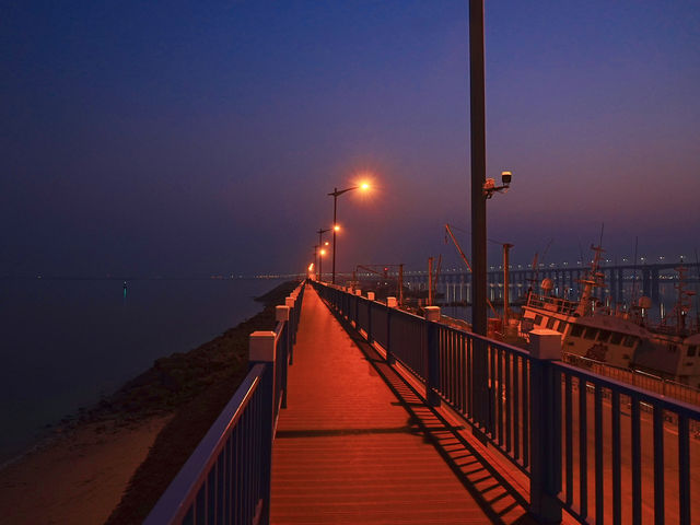 連雲港羊山島，邂逅一場粉色浪漫