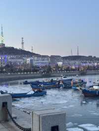 冬日海邊|凍海與海鷗的浪漫邂逅