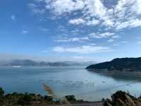 山海紅樹林
