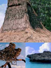 松巴島兩日奇遇：邂逅南洋的夢幻與煙火