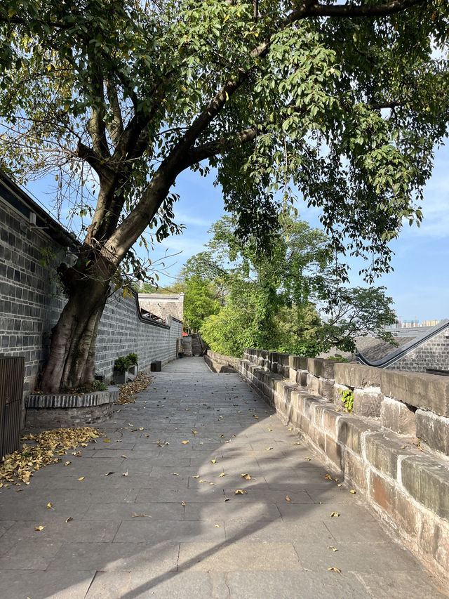 雲貴川出發3天2晚宜賓自駕攻略