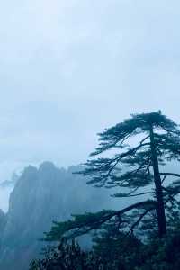 我很少用震撼來形容一個地方…