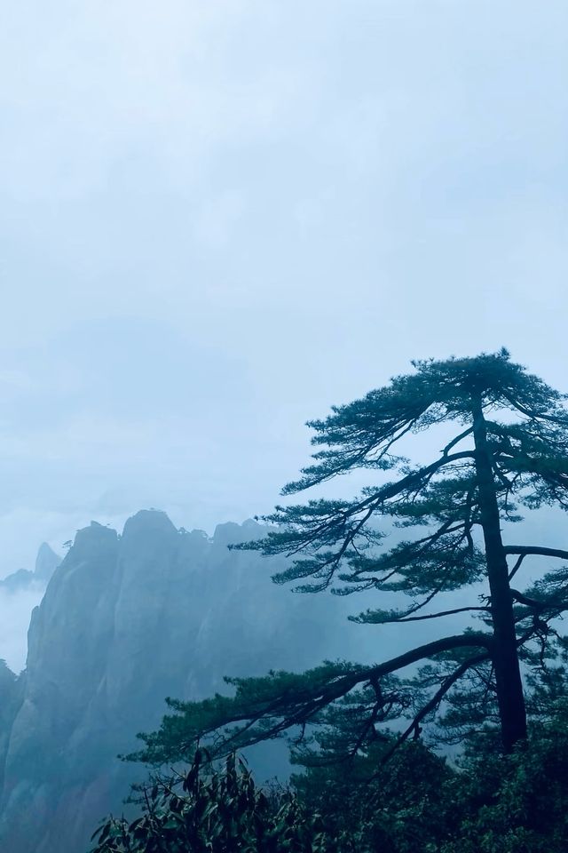 我很少用震撼來形容一個地方… 我很少用震撼來形容一個地方…