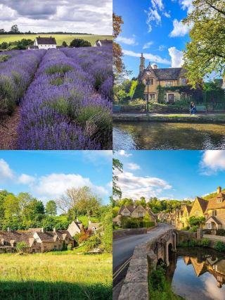 Woking: Two days of British fantasy and natural beauty